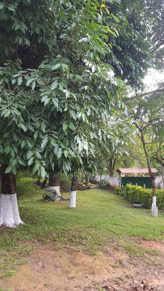 chacara-venda-gentileza-betim-1109391